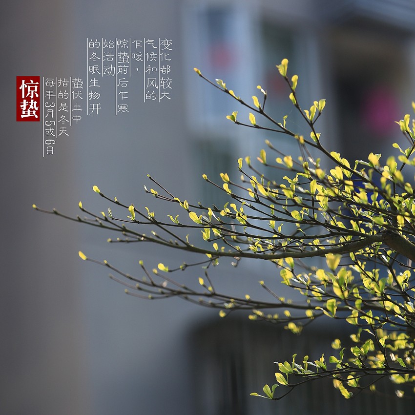 4119170_4119170_1426769894607_mthumb (1).jpg 4119170_4119170_1426769894607_mthumb (1).jpg