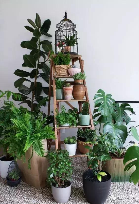 家再小，也能建造的這些小花園！