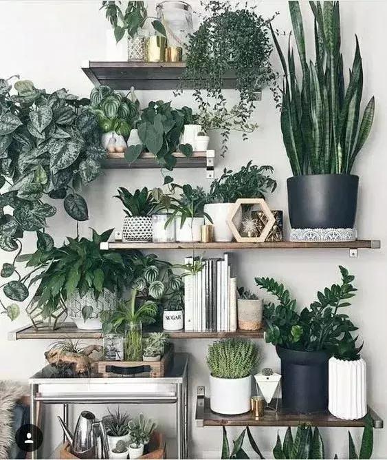 家再小，也能建造的這些小花園！