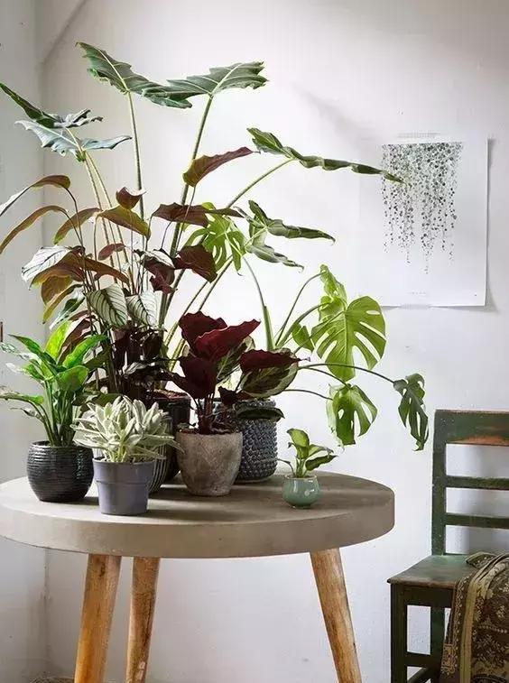 家再小，也能建造的這些小花園！