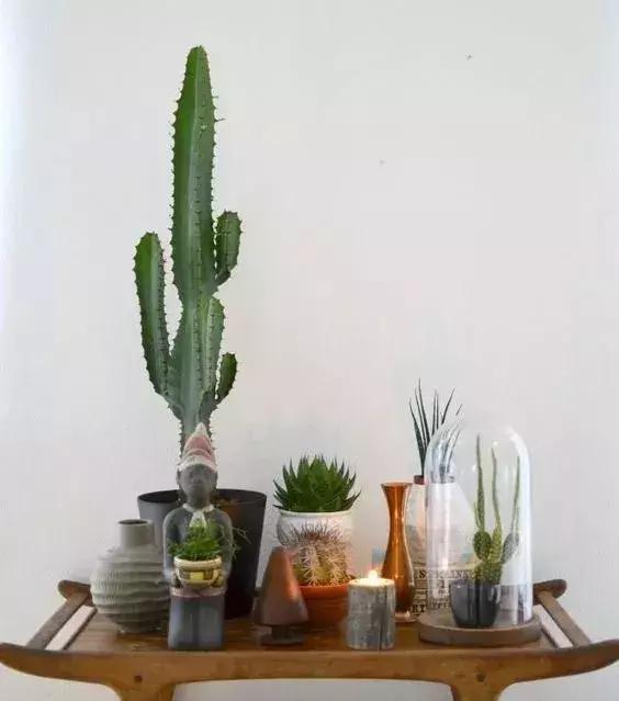 家再小，也能建造的這些小花園！