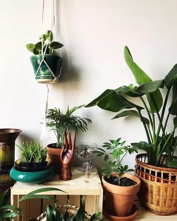 家再小，也能建造的這些小花園！