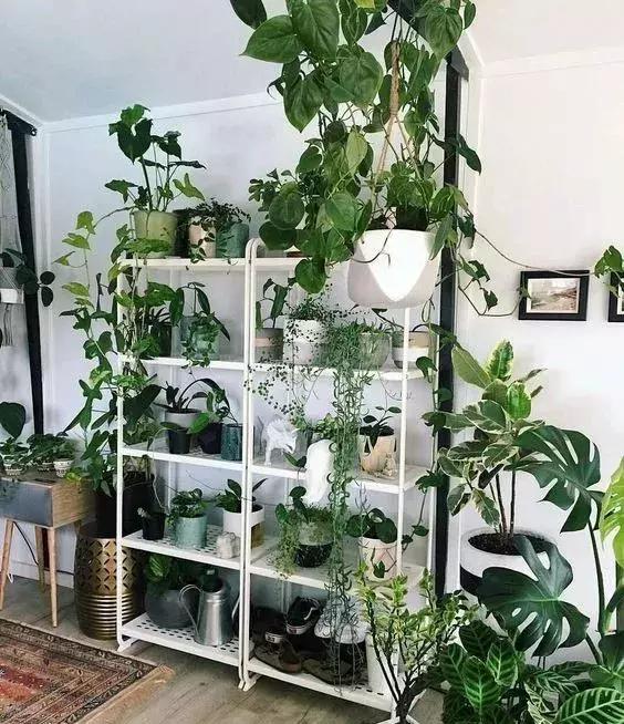 家再小，也能建造的這些小花園！