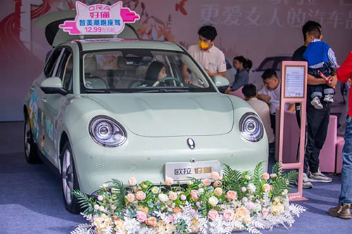 第二十八屆遠(yuǎn)通國(guó)慶車19.jpg