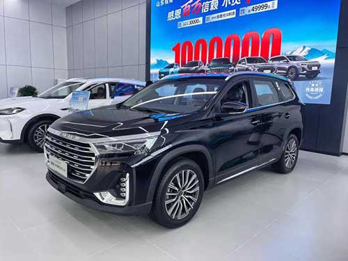 奇瑞捷途、星途雙店試營(yíng)業(yè)12.jpg